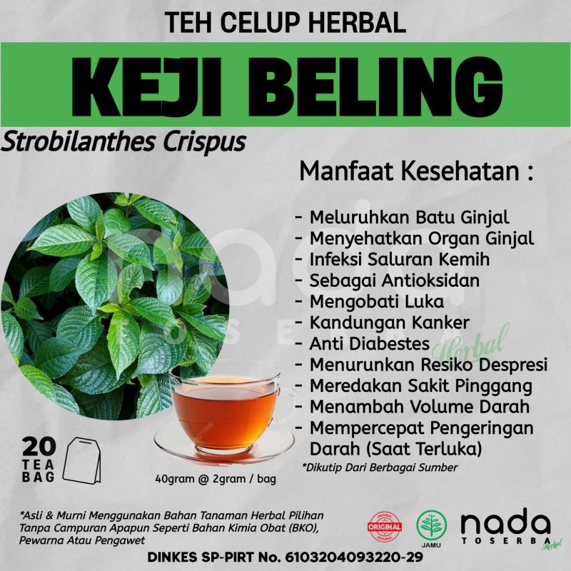 

Teh Celup Herbal KEJI BELING Isi 20 Tea Bag | ISK, Batu Ginjal Dan Batu Empedu | Strobillanthes Crispus