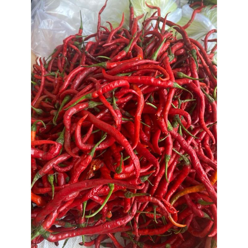 

Cabe Merah keriting 500gram barang fresh
