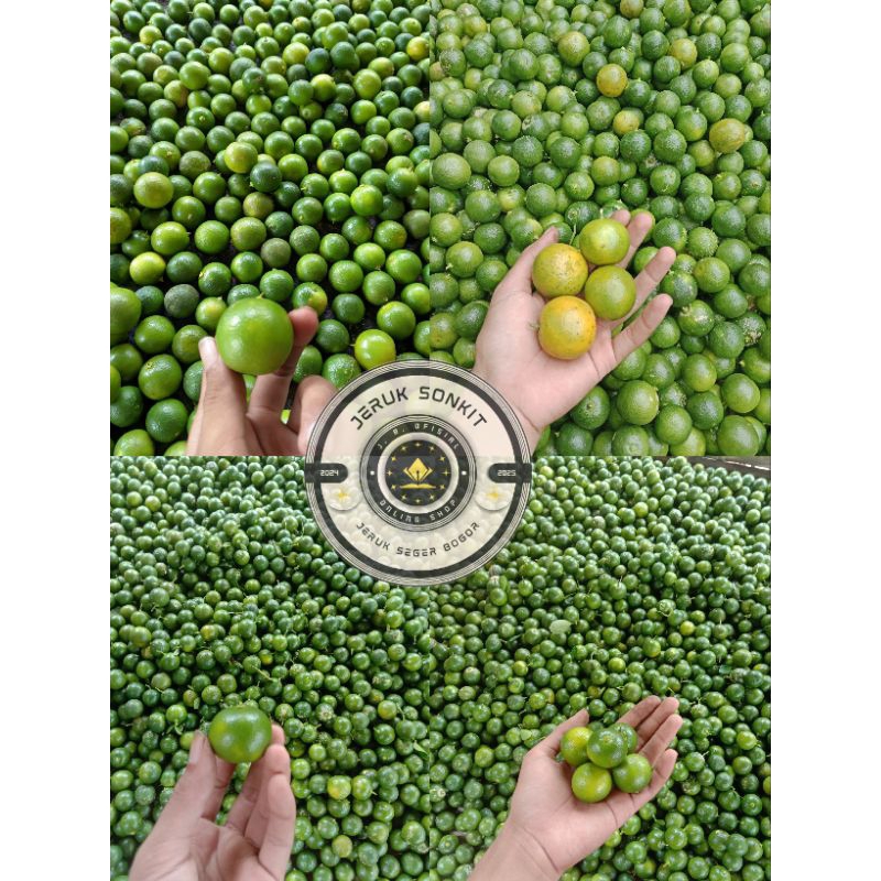 

jeruk sonkit 500g