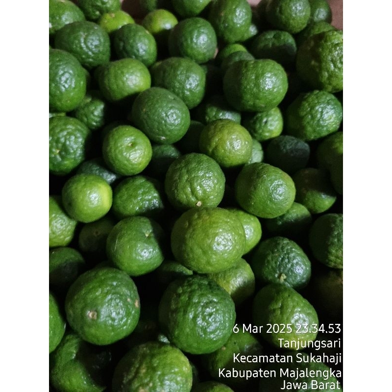 

jeruk sambel jeruk limo jeruk sambal jeruk limau harga 250g