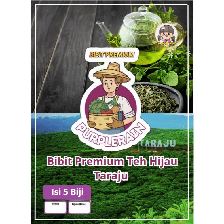 Bibit Premium Teh Hijau Taraju | Biji Benih Teh Hijau Taraju