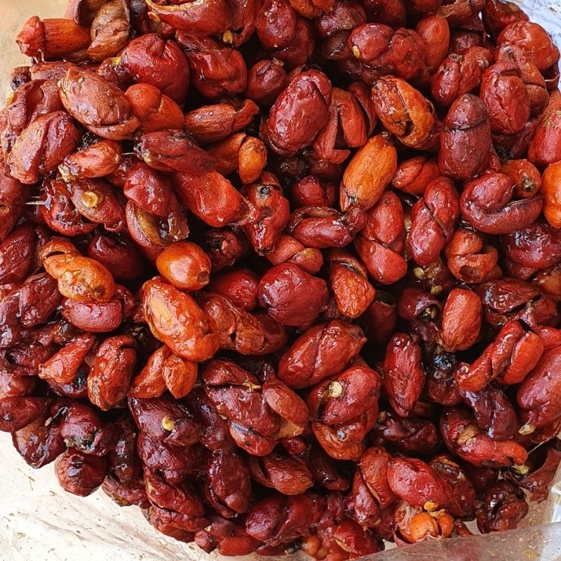 

kulit melinjo pedasmanis