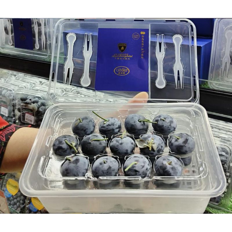 

Buah blueberry cidoko High class super jumbo premium bluberi king premium gift Box isi 4 pack