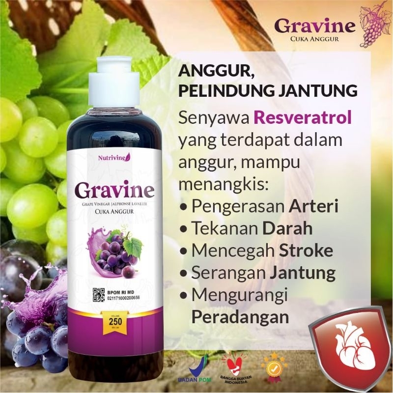 

Gravine Cuka Anggur 250ml Gravine atau grape vinegar adalah minuman dari buah anggur hitam yang mengandung asam asetat