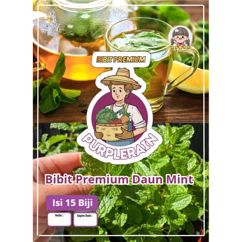 Bibit Premium Biji Benih Daun Mint | Bibit Daun Mint