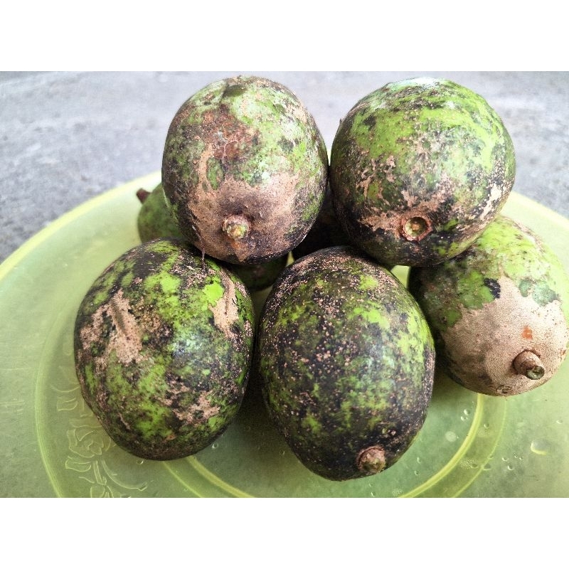 

kedondong fresh baru petik