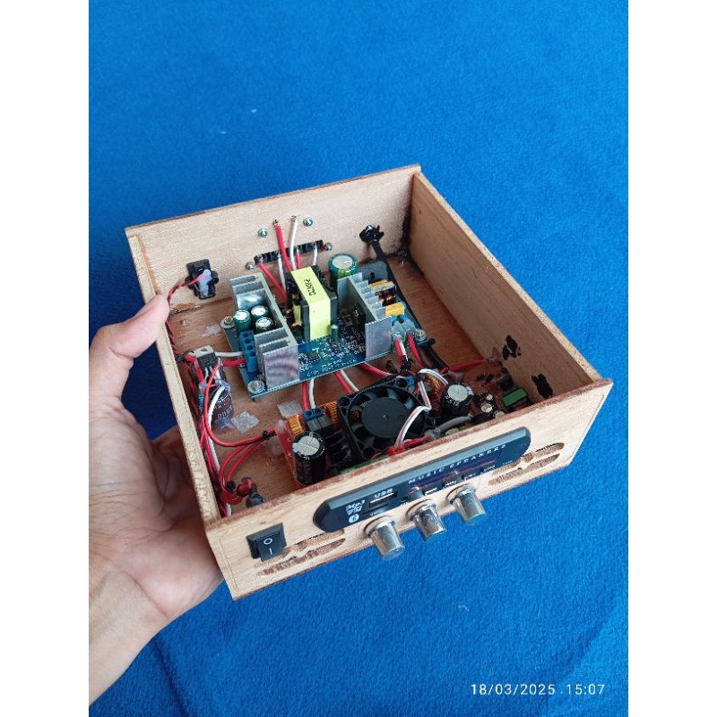 PowerMini TPA3116D2 2.1 Subwoofer