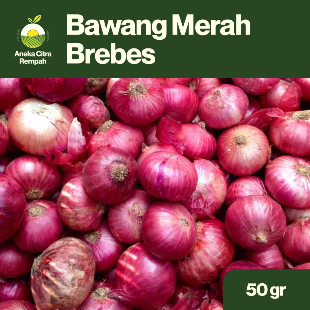

Bawang Merah Brebes 50gr - Super Segar, Kualitas Premium, Harga Murah, Grosir & Eceran