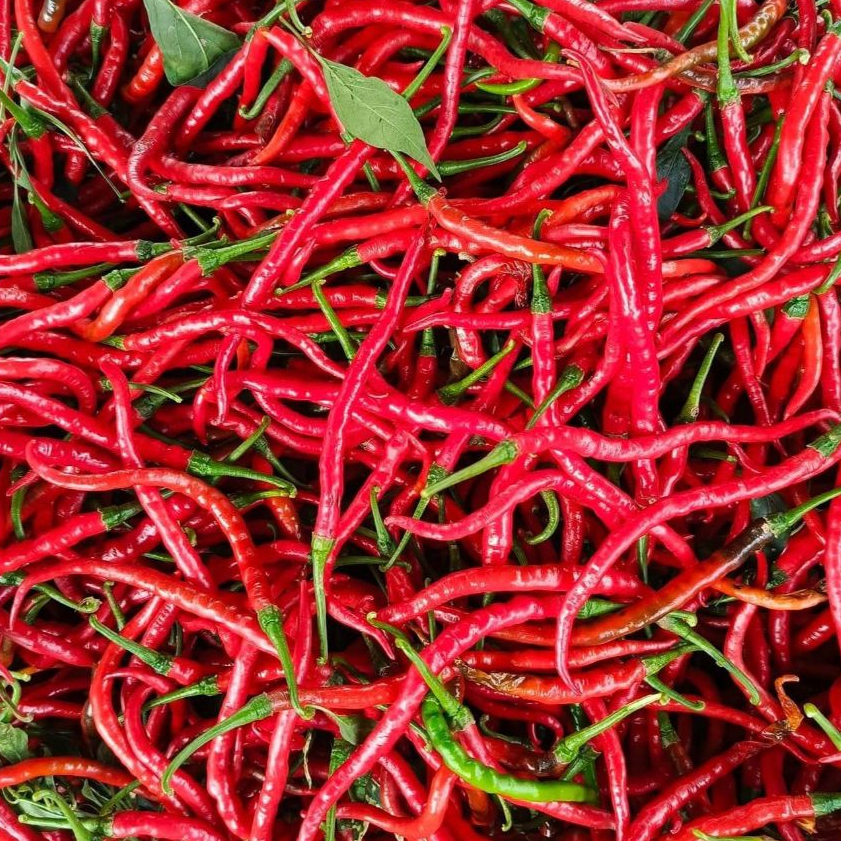 

Cabai/cabe merah keriting fress berat 1 kg termurah
