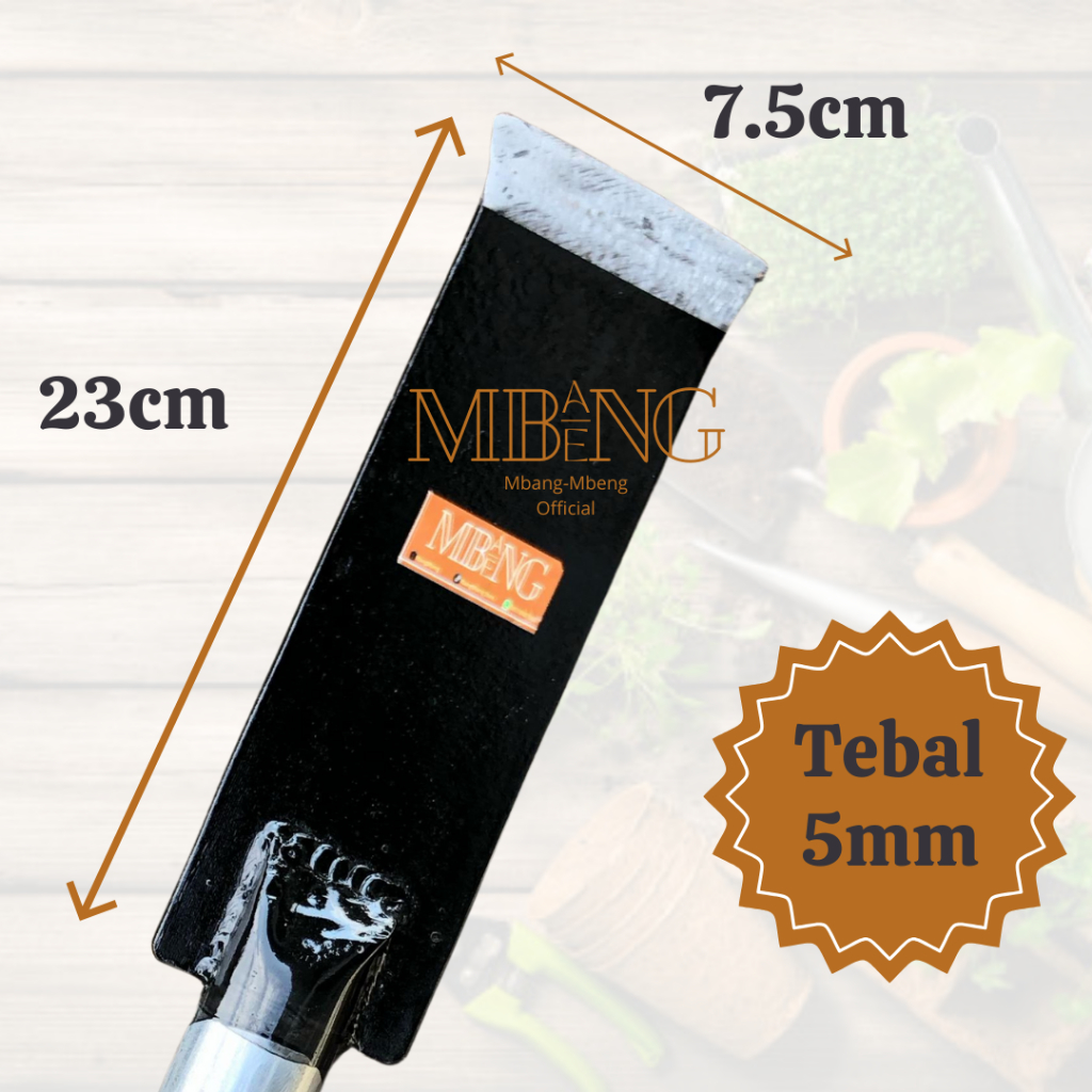 Raflezia Dodos 90Cm Per Asli / Dodos Tanah / Linggis Tanah / Dodos Pasir