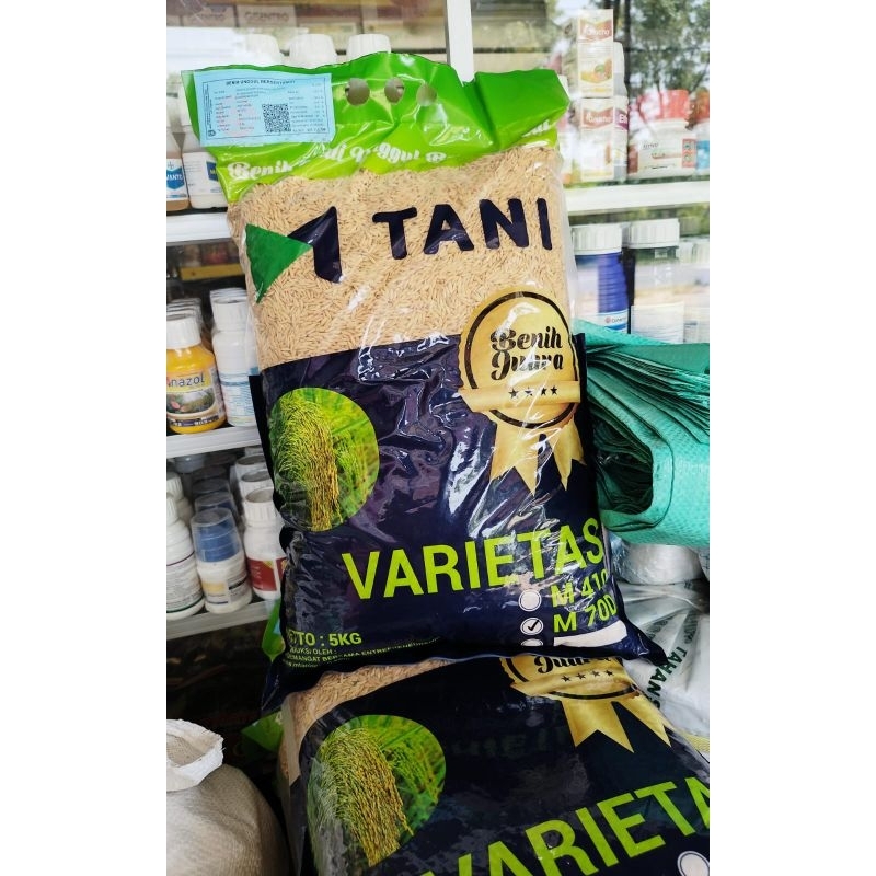 Benih padi unggul varietas M70D-5kg