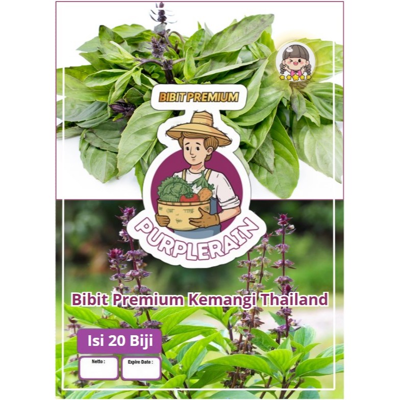 Bibit Premium Kemangi Thailand | Biji Bibit Kemangi Thailand |Biji Benih Daun Kemangi