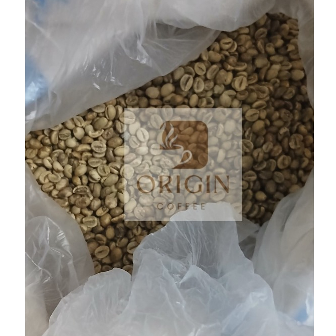 

Greenbean / Biji Kopi Mentah Robusta Temanggung Single Origin 1 Kg
