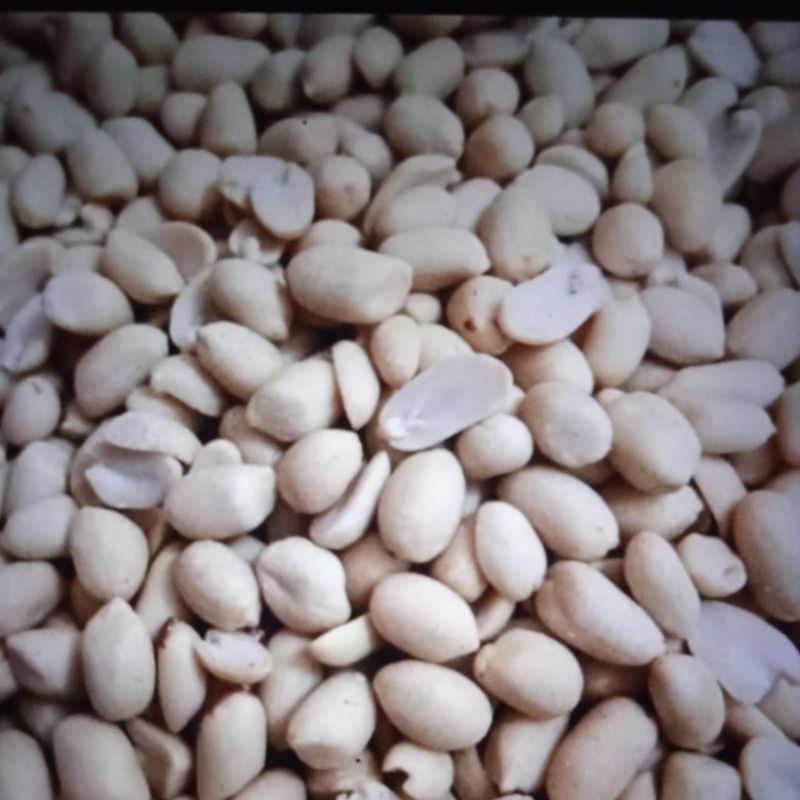 

kacang kupas
