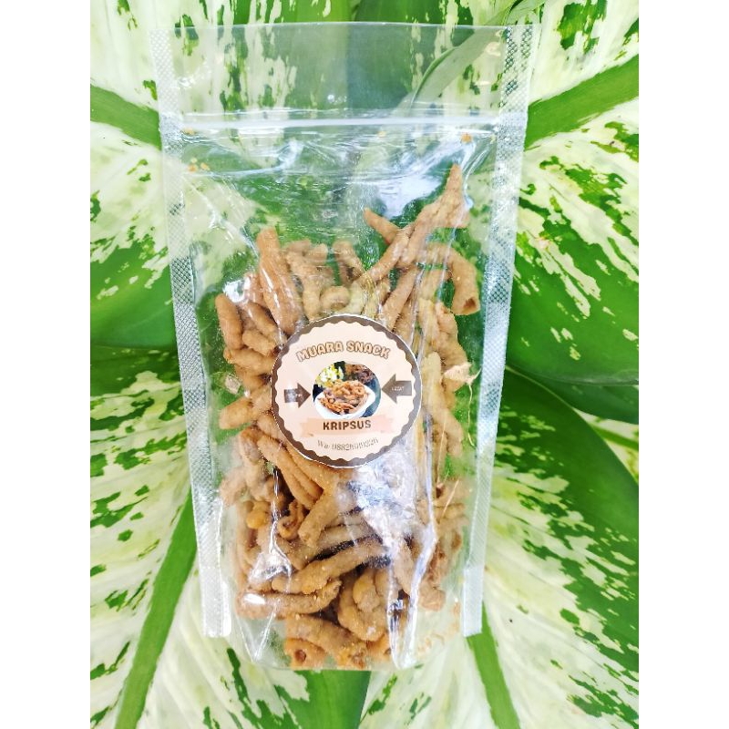 

Kripik Usus