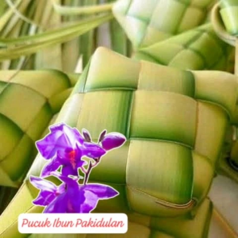 

cangkang ketupat /10 pcs