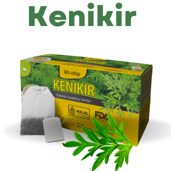 

Teh herbal Kenikir griya herba isi 20 kantong teh celup untuk kesehatan jantung Mencegah osteoporosis Mencegah dan mengobati diabetes