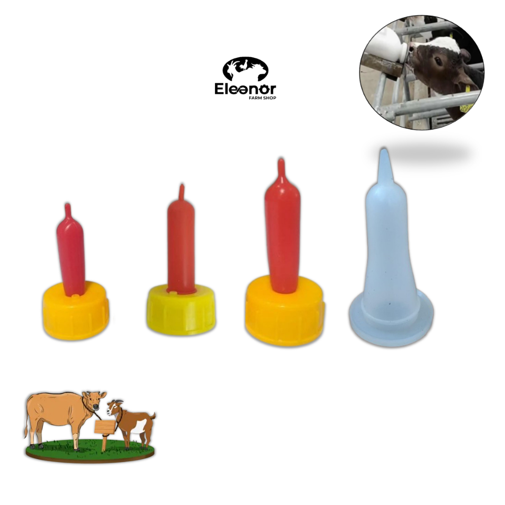 Eleanor Farm Dot Cempe Kambing Domba Kucing Dot Hewan Kecil Dot Susu Kambing