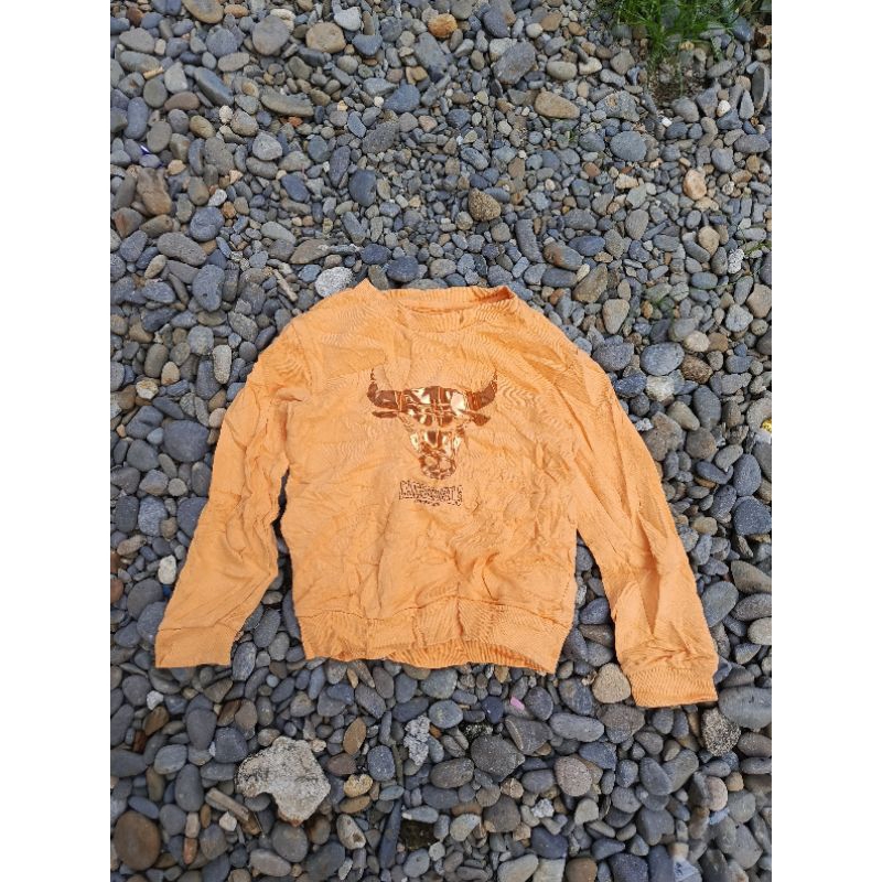 crewneck NBA Chicago bulls