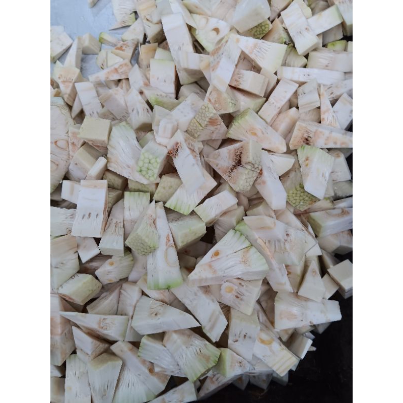 

nangka muda iris 1.kg