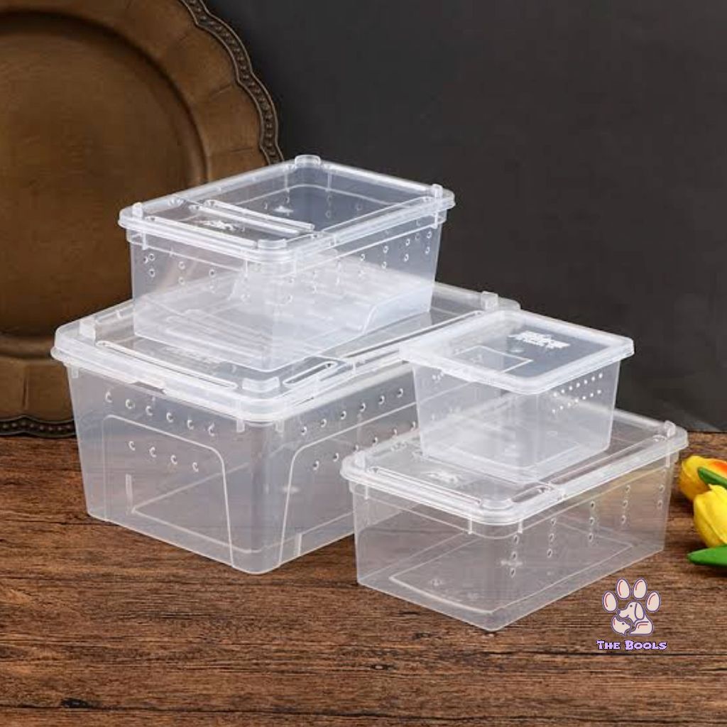 (The Bool's) Reptil Box Kandang Besar Feeding Hamster/Reptil/Gecko/kura-kura