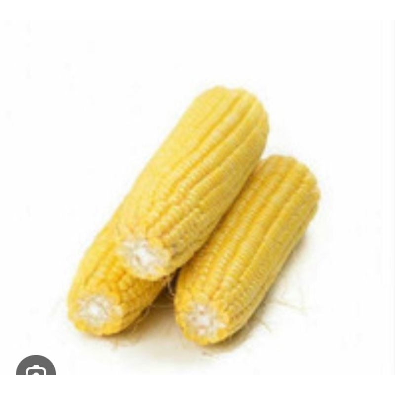 

JAGUNG MANIS/HAWAI KUPAS 1 KG