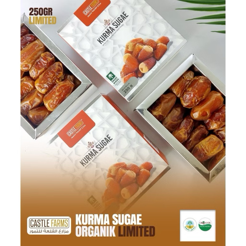 

Kurma Castle Farm Limited Madinah Sagai Safawi Mabroom Original Madinah 100%