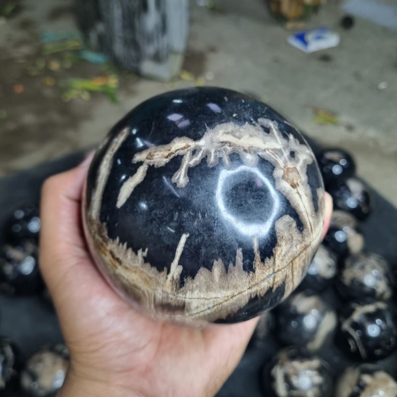 1pcs Bola Fosil Galih Kelor Hitam / Fosil Kayu size 10cm