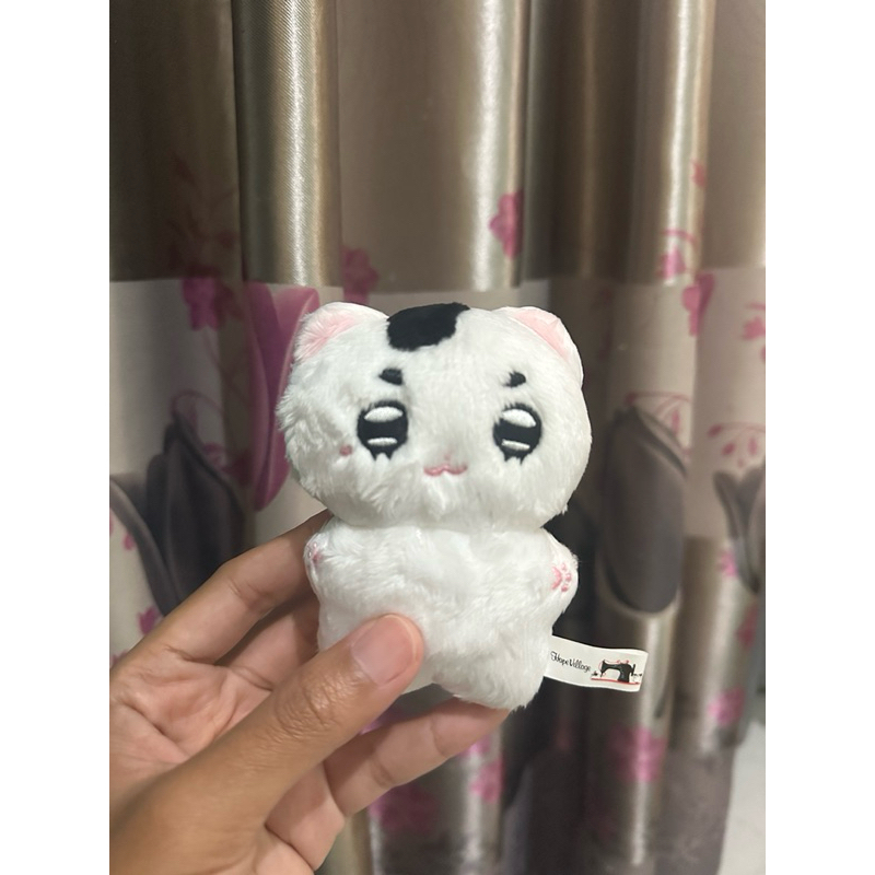 DOLL & CAHOL TYONGYA