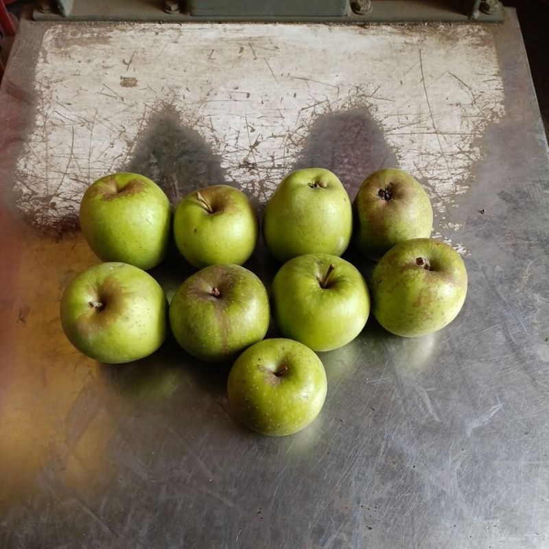 apel wanglin sekilo isi 9-10