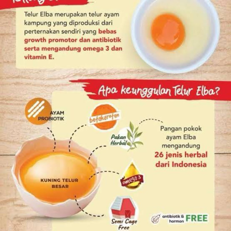 

telur ayam kampung elba
