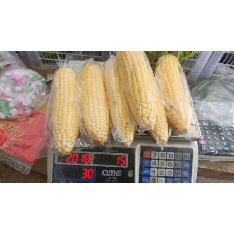

jagung manis jumbo 1pcs ±300-400gr
