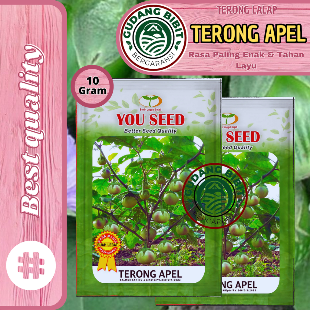 Benih Bibit Terong Lalap TERONG APEL 10g You seed Biji Terong Manggis