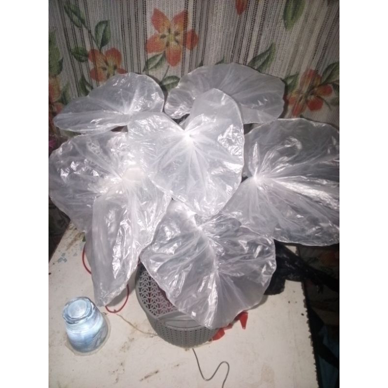 prakarya plastik kresek bunga keladi