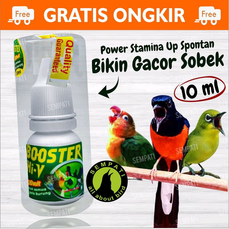 Booster Hi-V 220 Volt Boster Hivi Hi V 220v 10ml Vitamin Doping Obat Burung Pleci Vitamin Untuk Semu