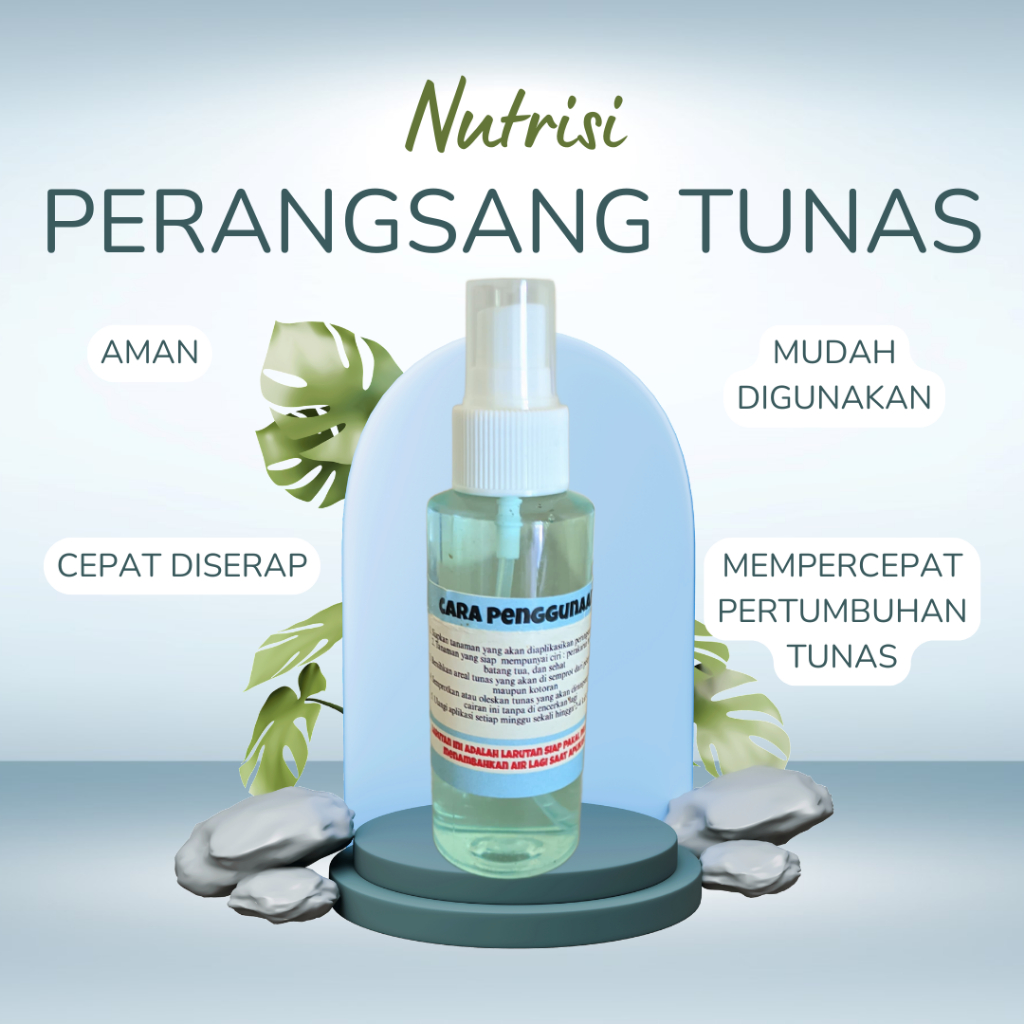 Nutrisi Perangsang Tunas Aglonema