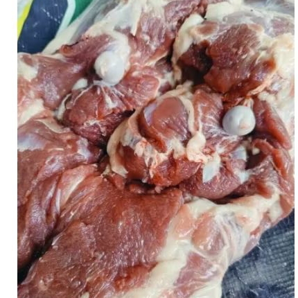

Daging kambing muda tanpa tulang 1 kg