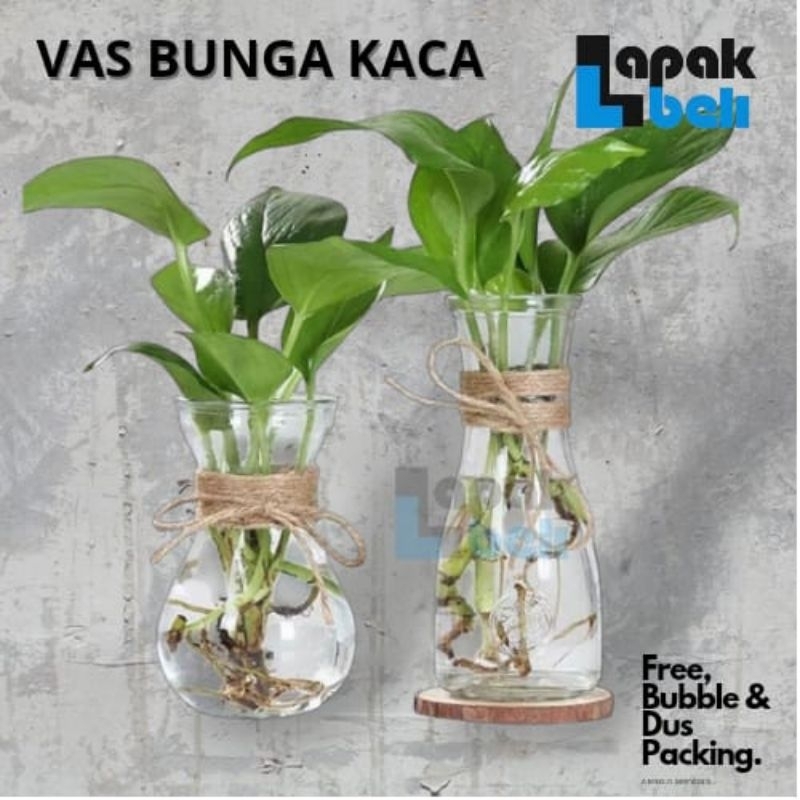 VAS BUNGA KACA / VAS BUNGA KARAF/ VAS BUNGA KACA KOTAK PERSEGI VAS BUNGA TINGGI / POT TANAMAN ARTIFI