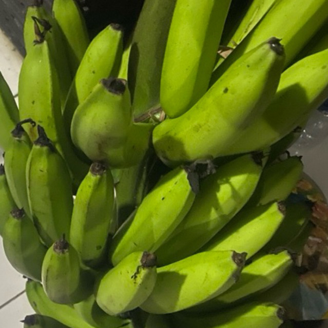 

Buah Pisang Matah JE R 1 Kg Pab Buah Pisang