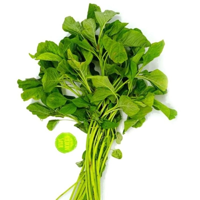 

daun kemangi segar