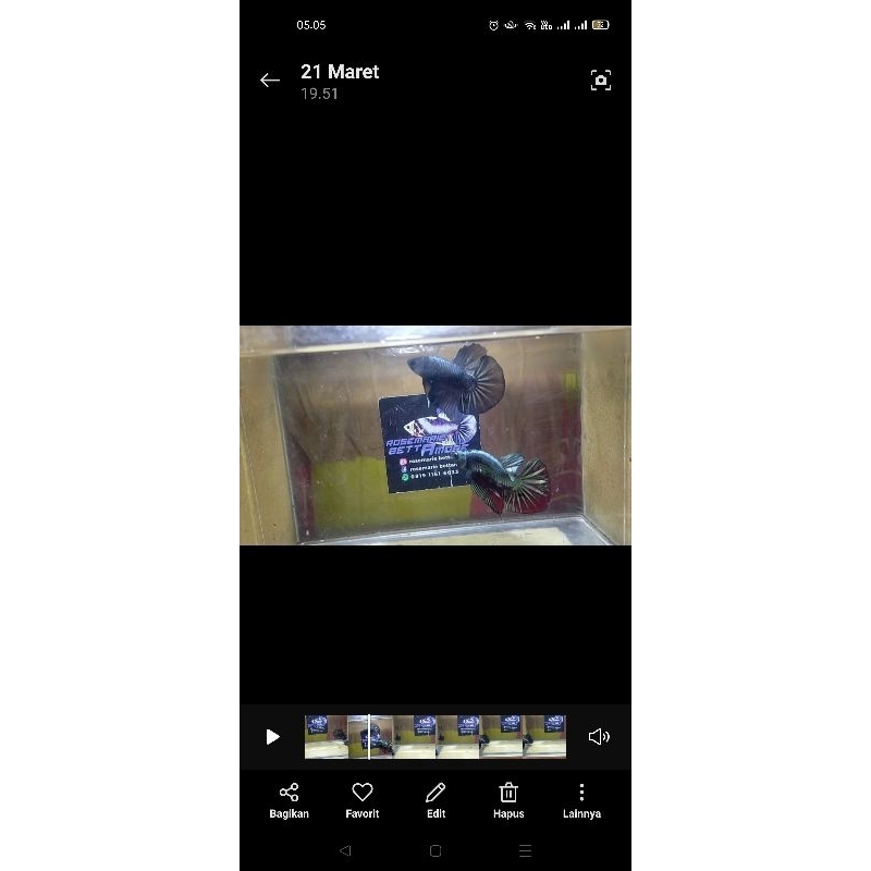 Bungkus Kemasan Cupang HMPK Cooper