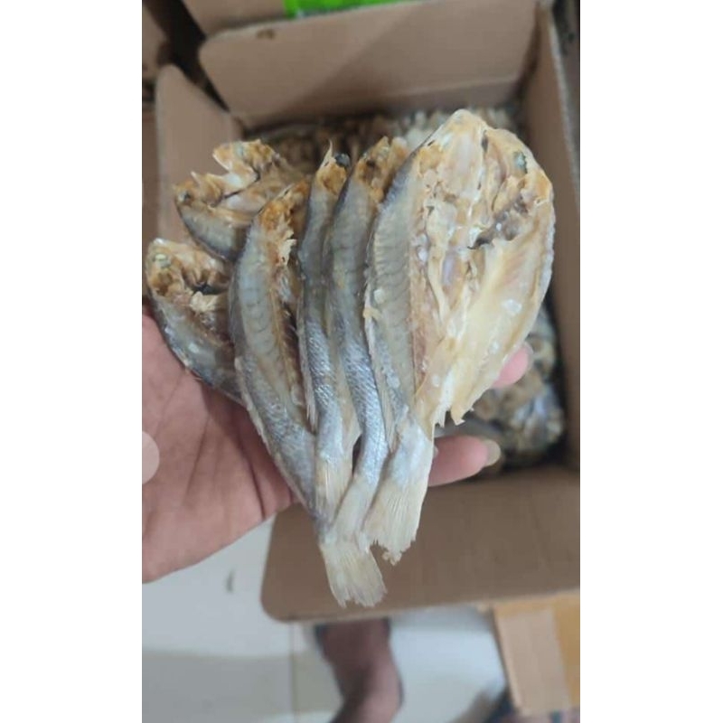 

Kepala Batu Seperapat ( 250 Gram )