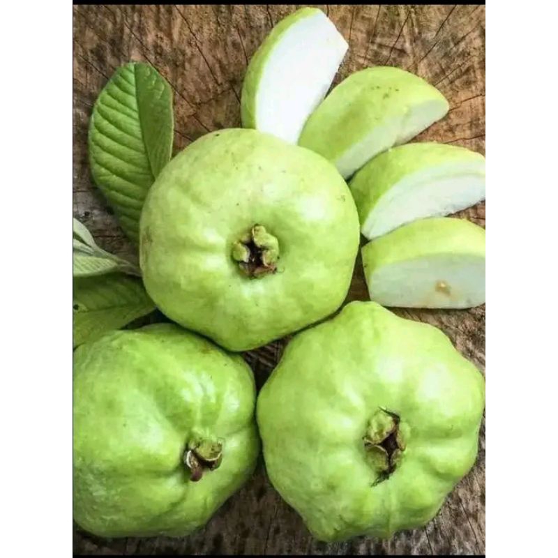 

JAMBU KRISTAL JAMKRIS FRESH 100%