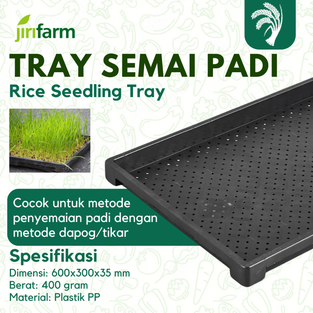 JIRIFARM - Tray Semai Padi Pot Bibit Pembibitan Rice Paddy Biji Hidroponik