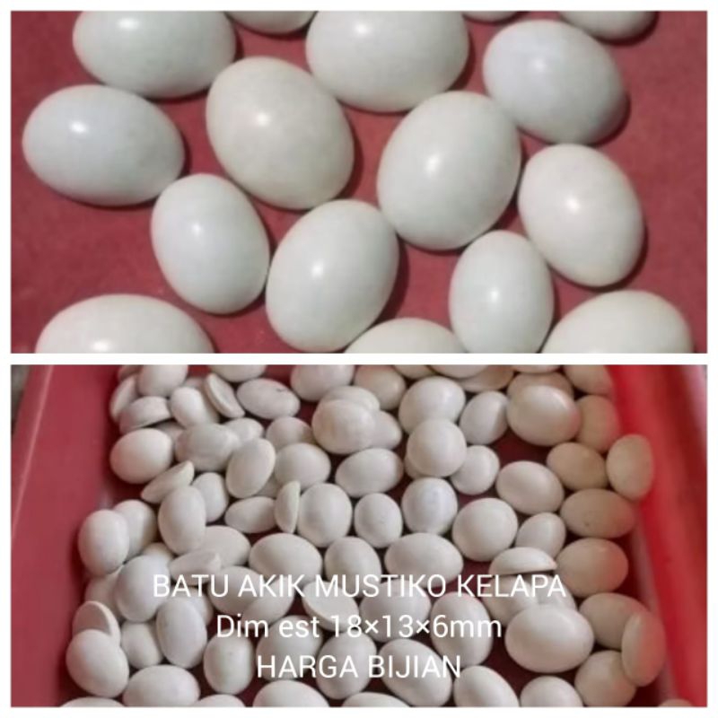 BATU CINCIN TIDAR KENTUS KELAPA NATURAL ALAM