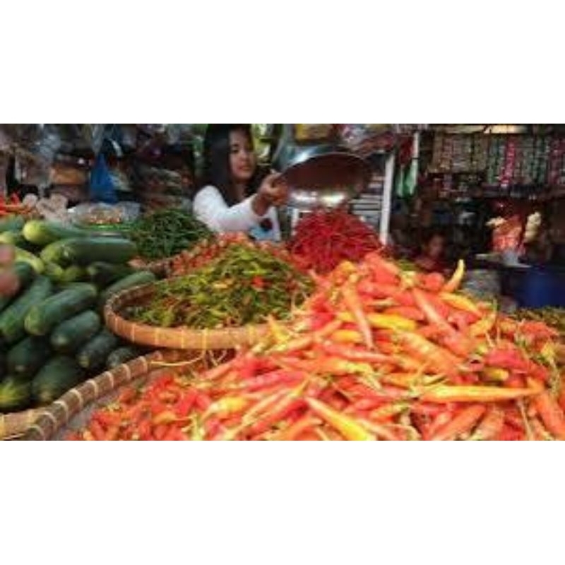 

cabai rawit merah / cabai caplak