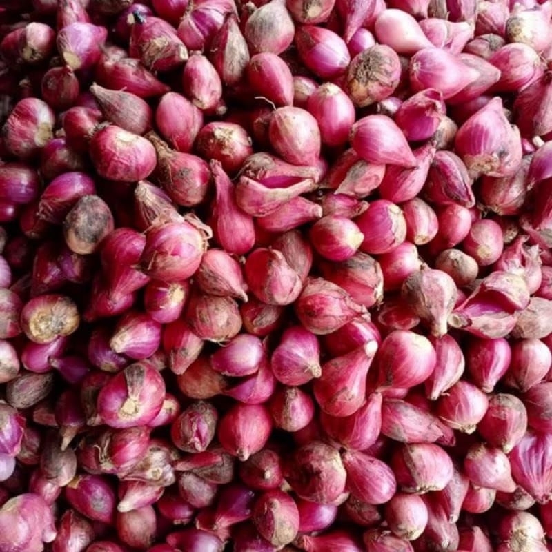 

Bawang merah super 500 gram fresh