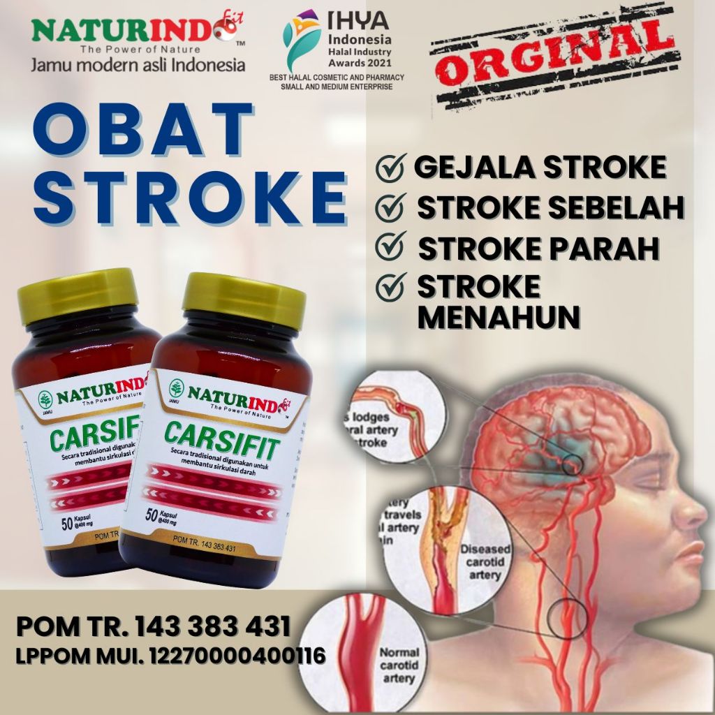 obat stroke struke herbal strok herbal carsifit tersumbat lumpuh separuh lumpuh separuh susah berger