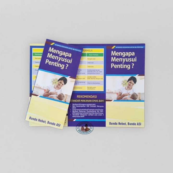 

Leaflet Mengapa Menyusui Penting | Leaflet Pentingnya Menyusui | Brosur Cara Menyusui Yang Benar