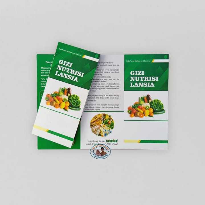 

Leaflet Gizi Nutrisi Lansia | Kesehatan Lansia | Leaflet Edukasi Gizi Dan Nutrisi Lansia